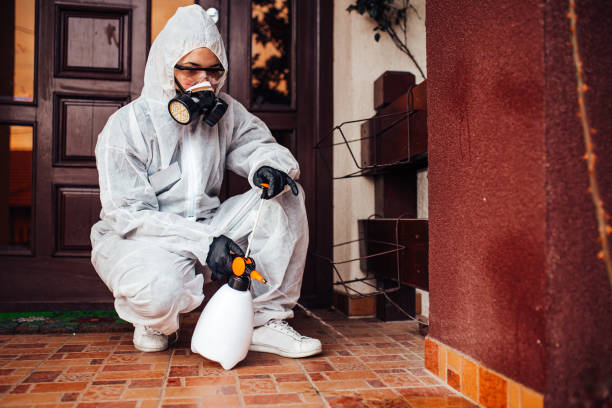 Reliable Ant Control contractor in Pawcatuck, CT by Show Me Pest Control